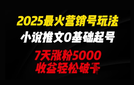 2025最火营销号玩法：小说推文0基础起号，7天涨粉5000，收益轻松破k-亮剑学堂